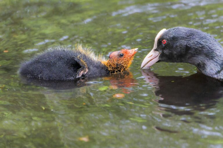 Nachhaltig zuhause Energie sparen mit dem richtigen Balkonkraftwerk für Eltern Eltern installieren Balkonkraftwerk zur nachhaltigen Energieeinsparung im Familienhaushalt zuhause