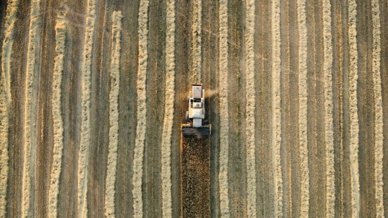 Balkonkraftwerk im Winter bei Schneebedeckung und flachem Sonnenstand zur Ertragssteigerung